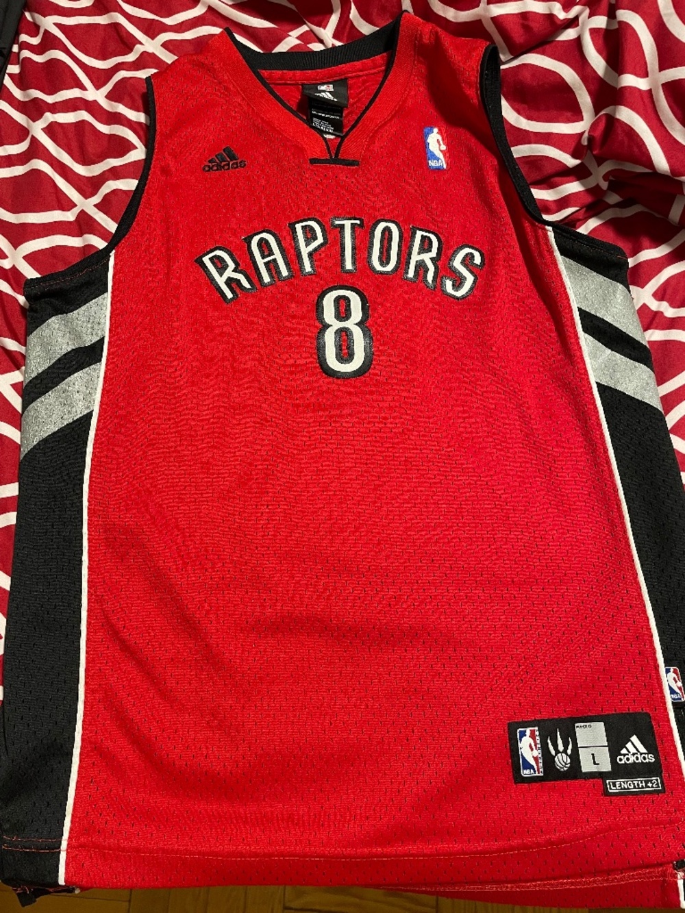 Raptors jersey